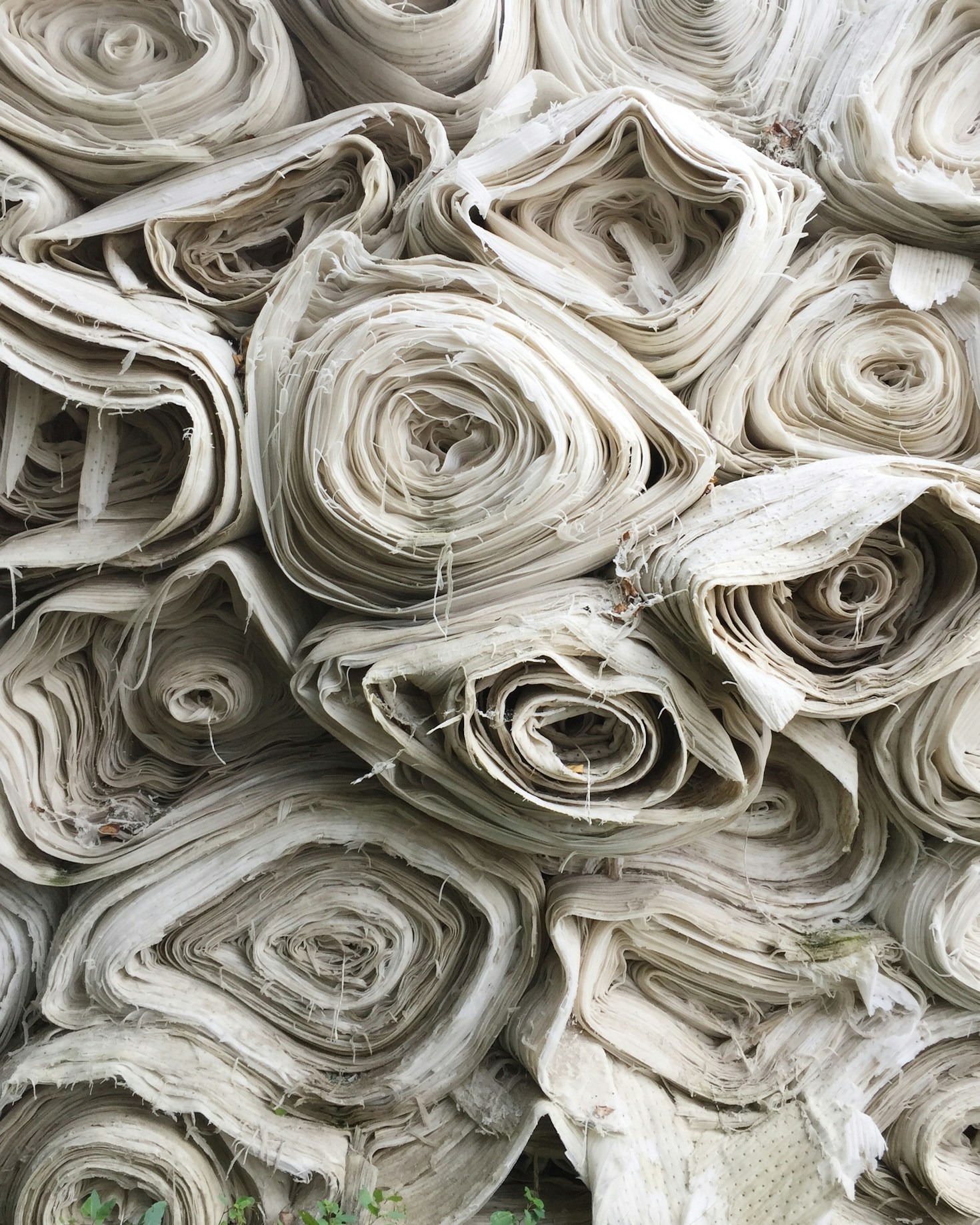 Cotton Cultivation: Best Practices for Optimal Yield